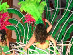 Carnaval de Mula 2012
